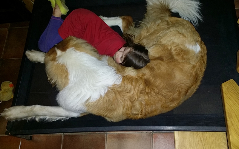 A spi u K 800x500 web